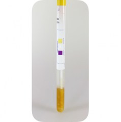 com-swab-liofilchem2